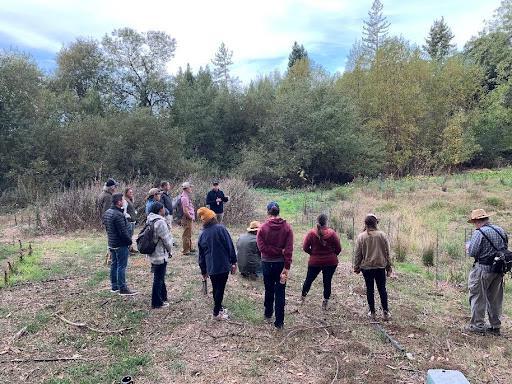 group of people walking in the forest